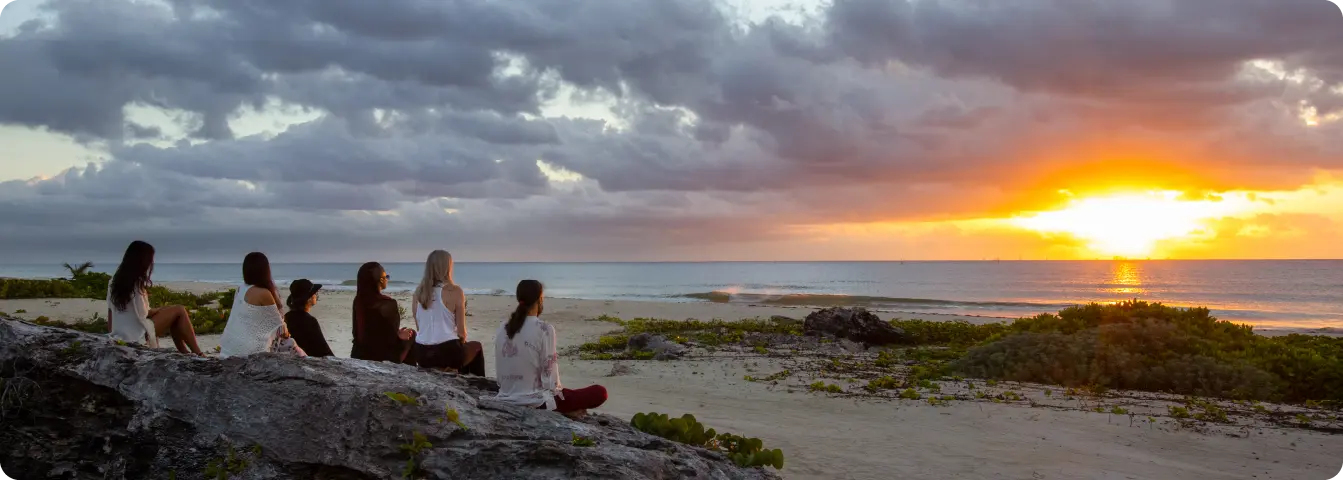 Destination: The House of AIA – Mexico